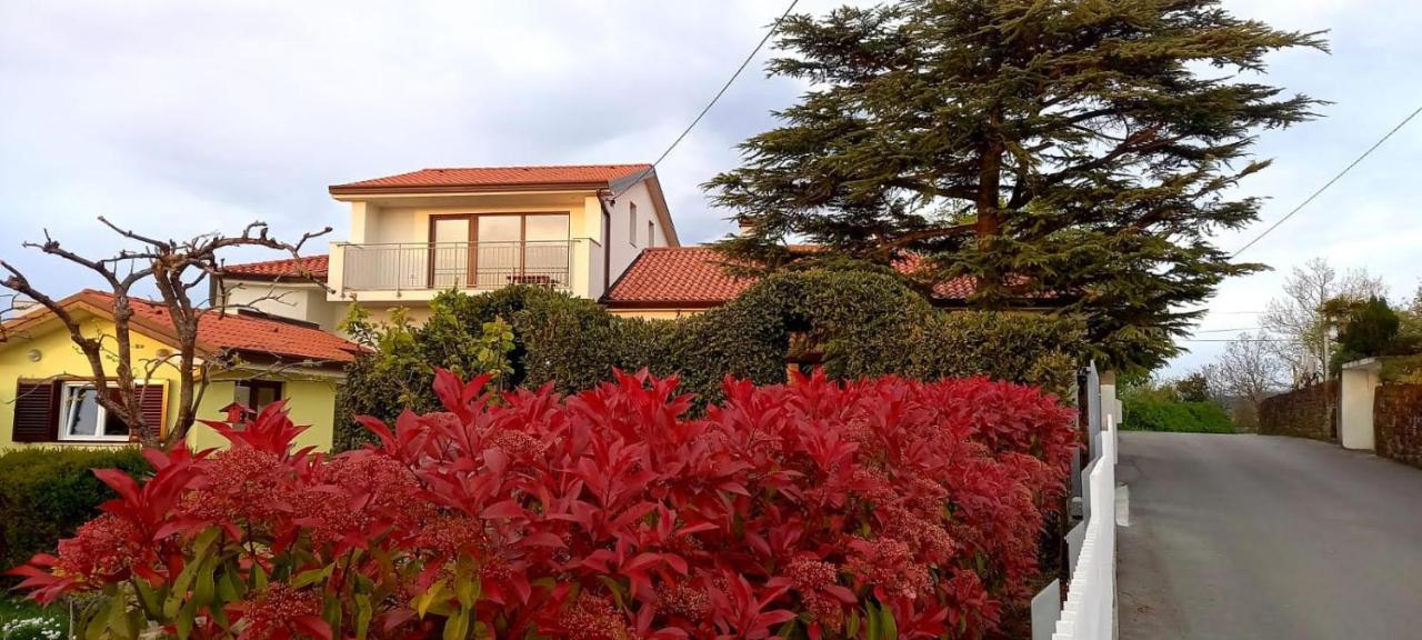 Vila Palma - App Palma & Room Figa Ankaran Dış mekan fotoğraf