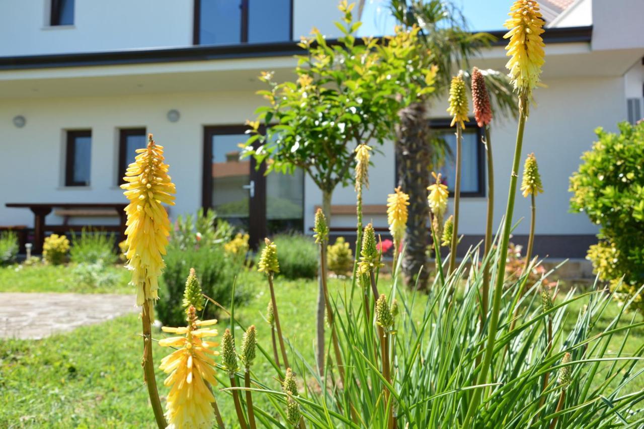 Vila Palma - App Palma & Room Figa Ankaran Dış mekan fotoğraf